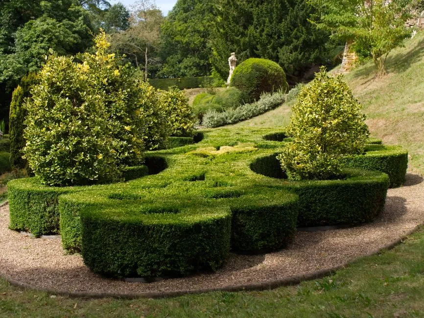 Amenagement jardin paysager - bordures vegetales travaillees